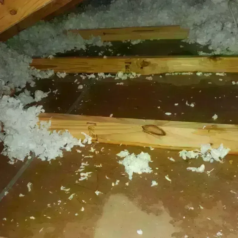 Attic Water Damage in McCurtain County, OK