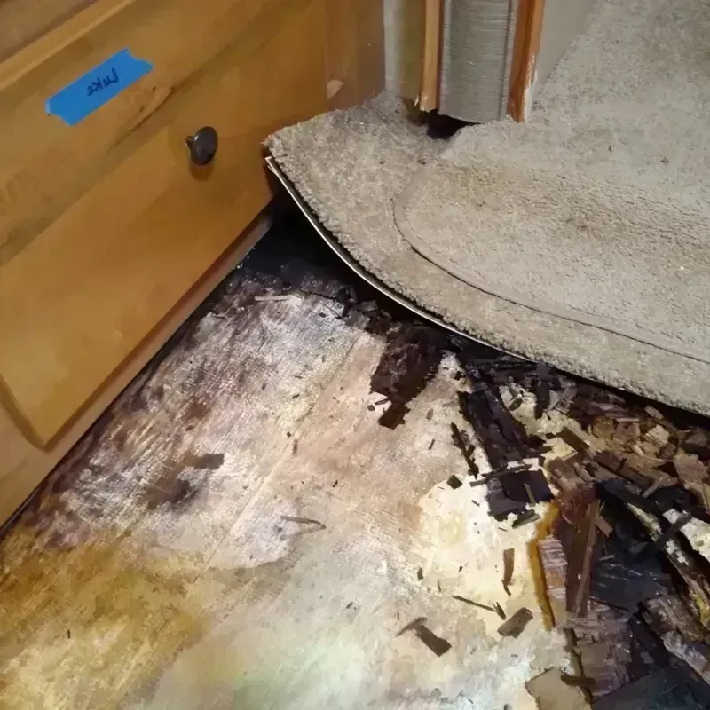 Wood Floor Water Damage in McCurtain County, OK